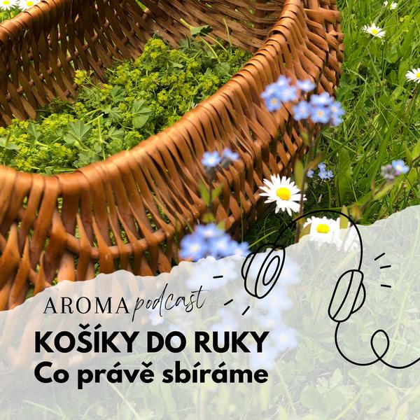 AROMAPODCAST s Aničkou a Veronikou